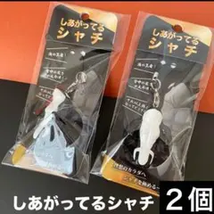 【新品】しあがってるシャチ　キーホルダー　須磨シーワールド計2個　岩本照