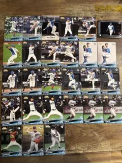 Item thumbnail for item ee4b5499-b4d4-4014-8abc-216ae1245521