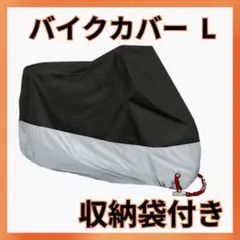 Item thumbnail for item ec95bfcd-2aaa-4547-9d8a-4080769edafc