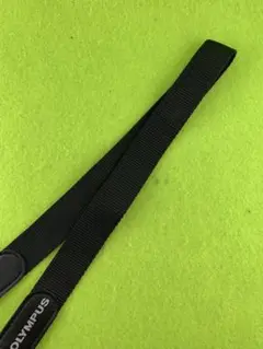 Item thumbnail for item 1b5fb9f0-9244-417b-8653-4b3d58d5031e