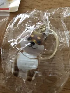 柴犬　いつもわんちゃんと一緒 おでかけ毛入れキーホルダー