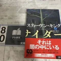 アウトサイダー 下