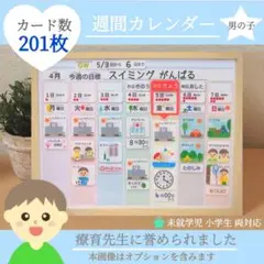 週間予定表 知育カレンダー お支度ボード 視覚支援 絵カード 療育 自閉症 教材