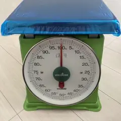 ワールドボス 特大型 上皿自動秤 計量器 タフ 100kg はかり スケール