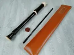 Item thumbnail for item 692d719a-62ad-4671-a7dc-0871ccca6fc1