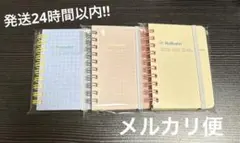 Item thumbnail for item e06a18c0-74ab-47a0-bb79-010b7deb22b4