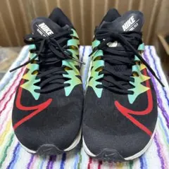 NIKE ランニングシューズ RIVAL FLY ブラック/レッド/グリーン