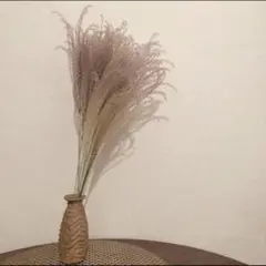 ススキ　ドライフラワー