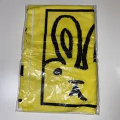 前田敦子 Am2 タオル グッズ