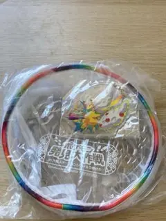 【非売品】 ポケモン発見大作戦 メガデンリュウ