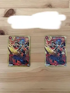 美品！！罰怒ブランド（2枚）