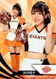 Item thumbnail for item 11164103-769f-41c2-9090-a33873182dc2