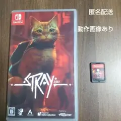 Switch Stray 通常版
