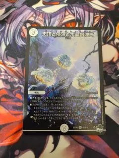 天頂と停滞と水晶の決断 1枚