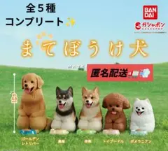 まてぼうけ犬　全種