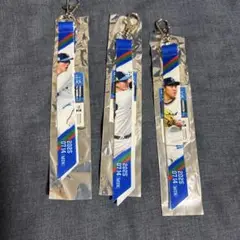 【新品未使用】埼玉西武ライオンズ マッチデーボンフィン 東京ドー厶 3個セット