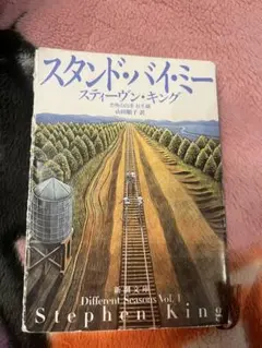 スタンドバイミー　スティーブンキング