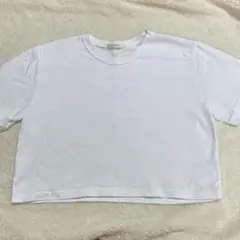 ホワイト クロップド Tシャツ 半袖