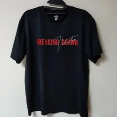 BREAKING DOWN Tシャツ Lサイズ