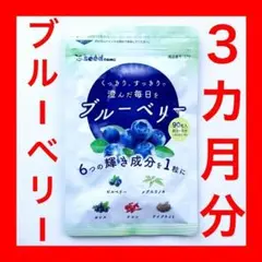 3ヶ月分!ブルーベリー サプリメント シードコムス ブルーベリーアイわかさ生活