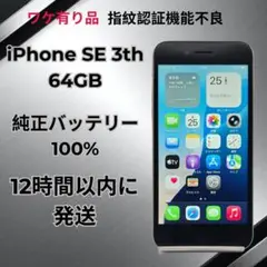 Item thumbnail for item ead0cb28-0ad9-40a7-ae55-6159b4dc585c