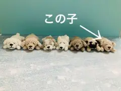 犬型あみぐるみ