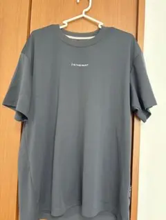 IN THE PAINT グレー Tシャツ Lサイズ