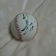 阪神タイガース 新井貴浩 25 直筆サインボール 実使用NPB試合球！広島カープ 2025年最新】Yahoo!オークション -新井貴浩 直筆サインボールの