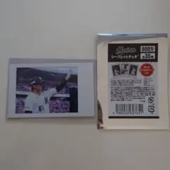 千葉ロッテマリーンズシークレットチェキ山本大斗選手