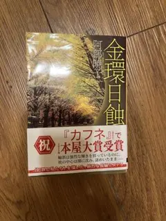 金環日食 阿部暁子