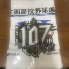 全国高校野球選手権107回記念タオル