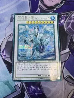 2025年最新】トリシューラ シークレット dtcの人気アイテム