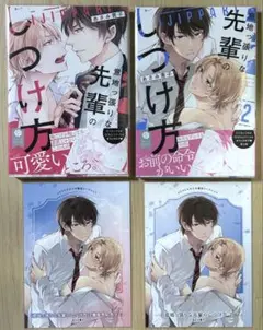 意地っ張りな先輩のしつけ方1・2巻　あさみ青子