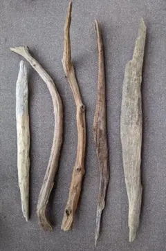 Item thumbnail for item 3fa78ba1-9f29-43a9-abfb-516d0bd6b8b7