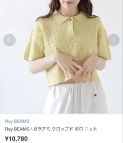 Ray BEAMS（レイ ビームス）ニットポロ