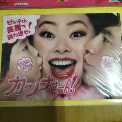 カツナさん! クリアファイルセット