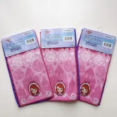 【新品未使用】ディズニー プリンセスソフィア タオル ハンカチ 2枚組 3セット