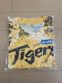 Joshin Tigers ユニフォーム イエロー