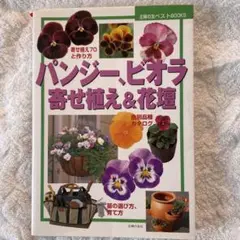 パンジー、ビオラ寄せ植え&花壇