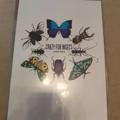 クリアファイル CRAZY FOR INSECT