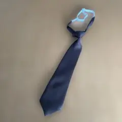 Item thumbnail for item ed8cffbb-c65a-4c01-848e-71d5db520ce3