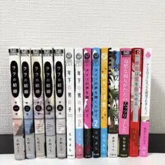 BL漫画14冊セット｜ララの結婚 年下の男の子　アイツの声を聞くだけで他作品多数
