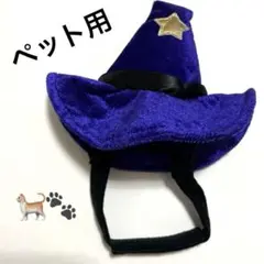 Item thumbnail for item 5bd64102-0ec4-44a9-a204-2da66f14cdbb