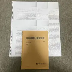 2022年 夏期講習 京大英語I(英文解釈) 桜井博之