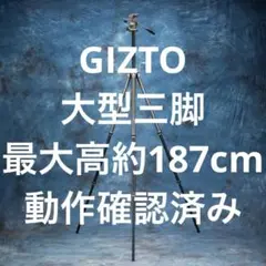 Item thumbnail for item 2548867b-8f13-4d56-8de6-5f83aefcb6b1