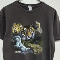 アニマル　ライオン　タイガーUS古着デザイン・雰囲気・柄 ◎グッドプリントTee