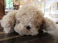 モンスイユ　くたくた　寝そべりポーズ　クリーピー　Mサイズ　犬　ぬいぐるみ モンスイユ くたくた 寝そべりポーズ クリーピー Mサイズ 犬