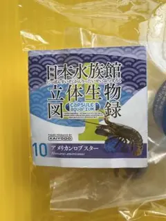Item thumbnail for item 70f8ed3e-7a8a-40a7-9a91-024dca143bf5