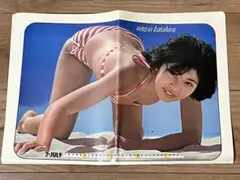 ★片平なぎさビキニ水着ポスターカレンダー昭和★