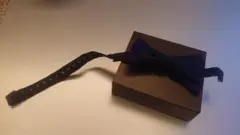 ベルルッティ 蝶タイ
